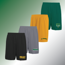 STA Volleyball Mesh Shorts